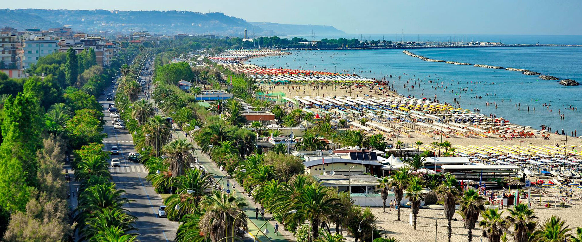 Riviera delle palme